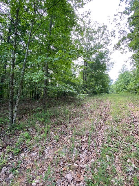 0 Eagle Nest Ln Property Photo 7