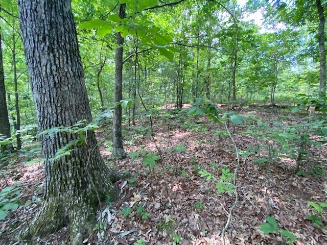 0 Eagle Nest Ln Property Photo 8