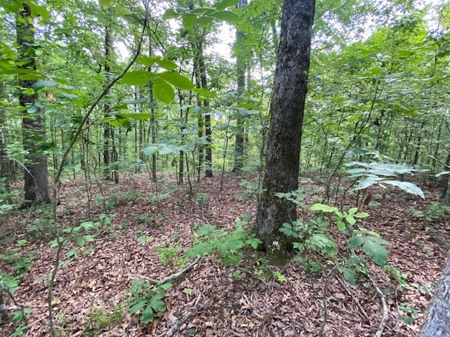 0 Eagle Nest Ln Property Photo 9