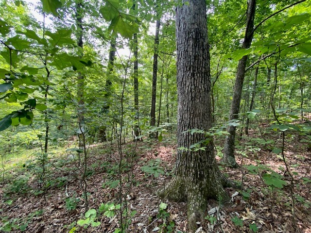 0 Eagle Nest Ln Property Photo 10