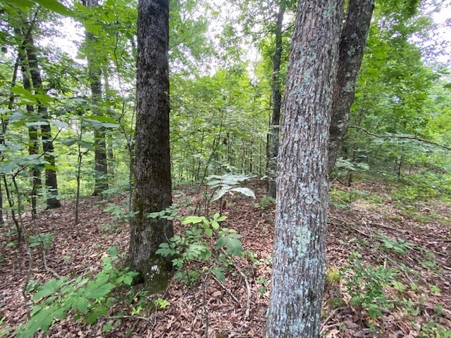0 Eagle Nest Ln Property Photo 11