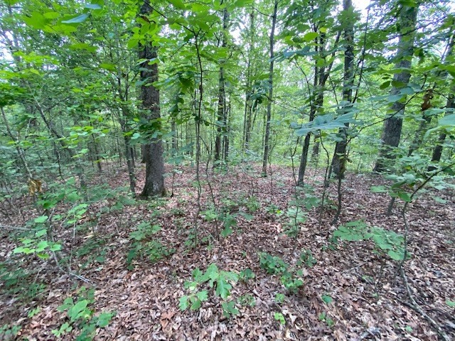 0 Eagle Nest Ln Property Photo 12