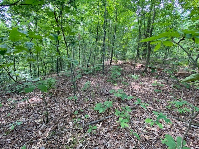 0 Eagle Nest Ln Property Photo 13