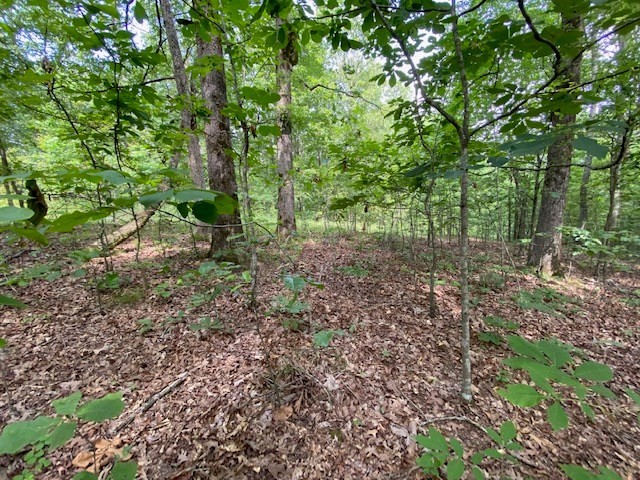 0 Eagle Nest Ln Property Photo 14