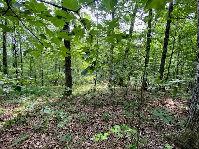 0 Eagle Nest Ln Property Photo 15