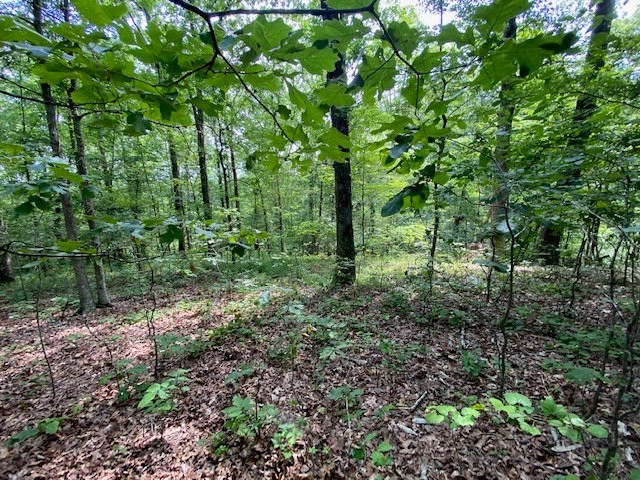 0 Eagle Nest Ln Property Photo 16