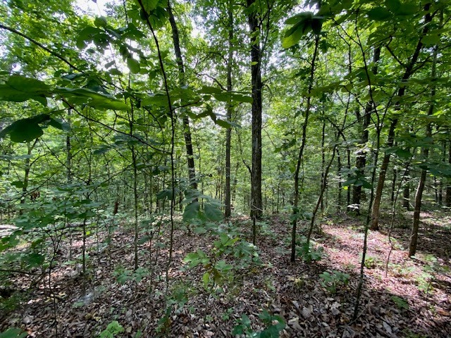 0 Eagle Nest Ln Property Photo 17