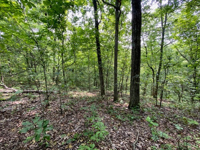 0 Eagle Nest Ln Property Photo 18