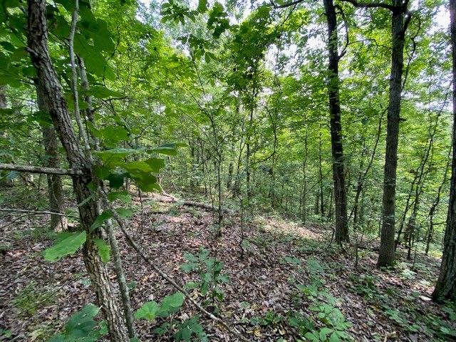 0 Eagle Nest Ln Property Photo 19