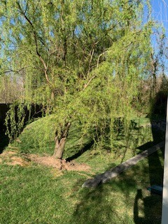 5572 Prada Dr Property Photo 15