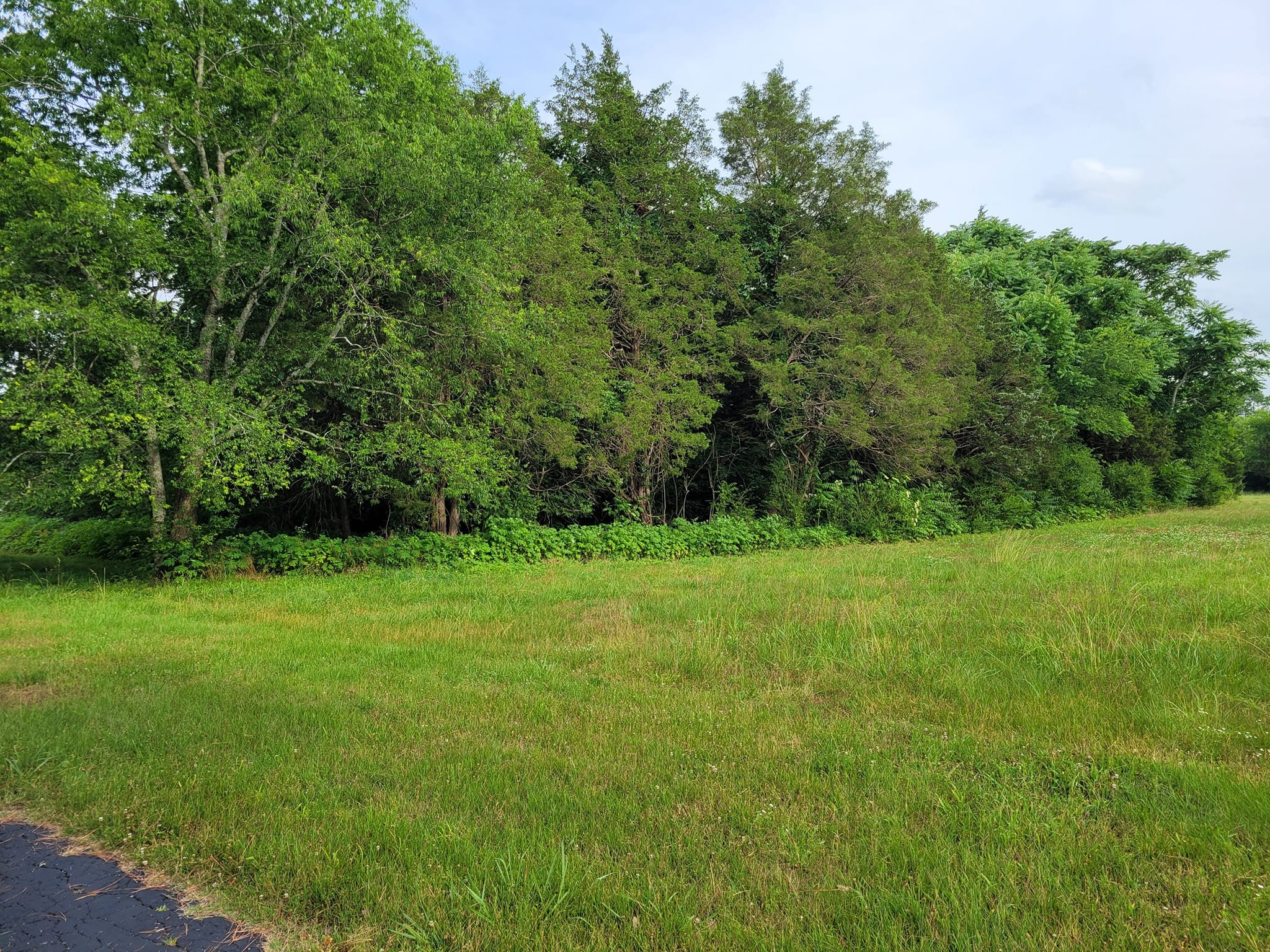 11802 Mount Vernon Rd Property Photo 3