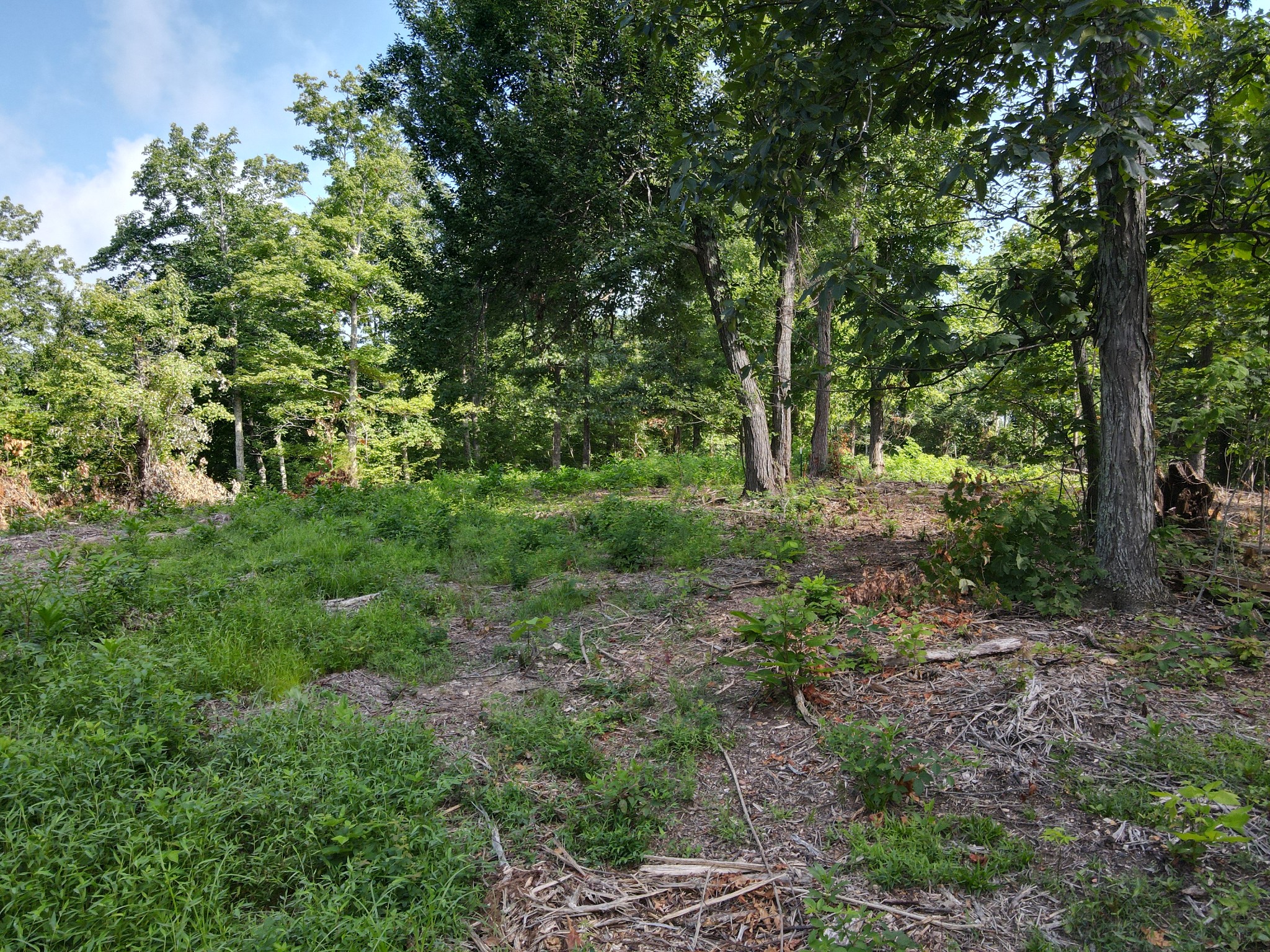 0 Rivendell Property Photo 1