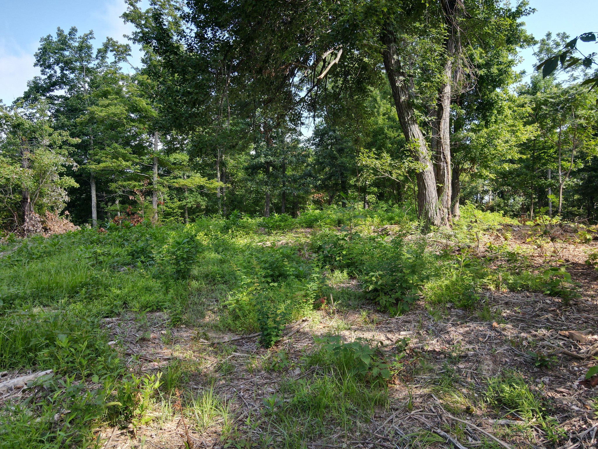 0 Rivendell Property Photo 2