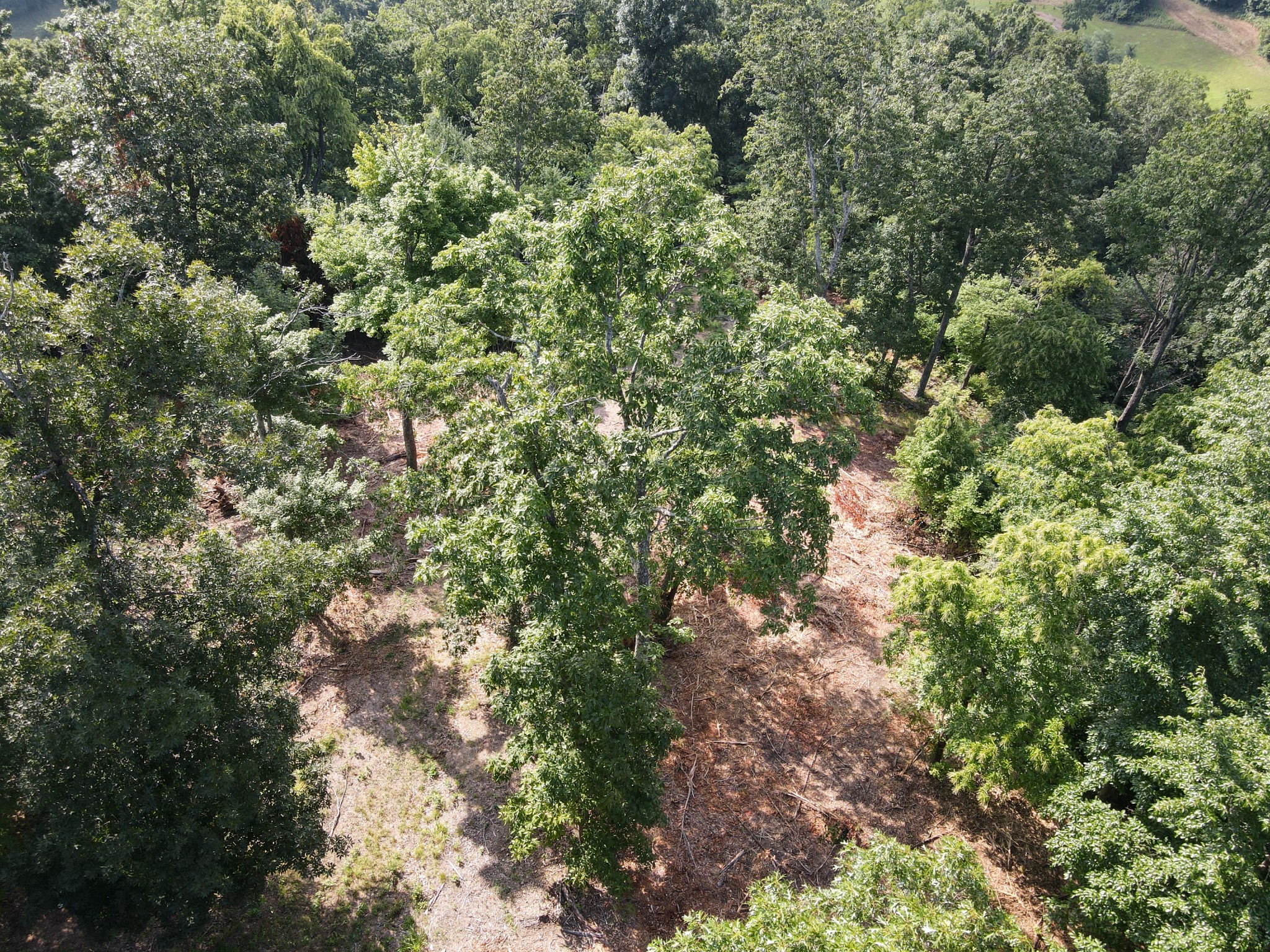 0 Rivendell Property Photo 3