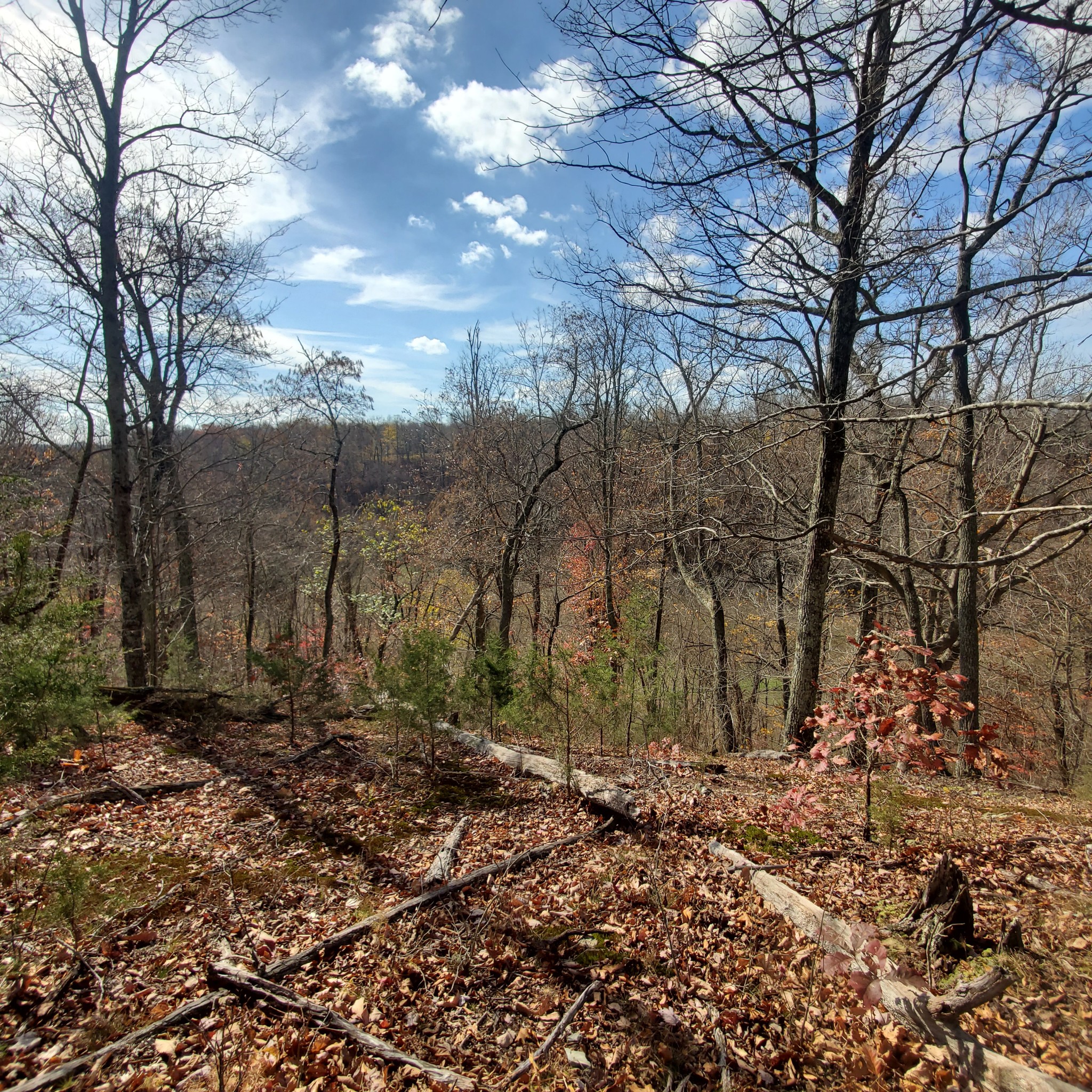 0 Rivendell Property Photo 4