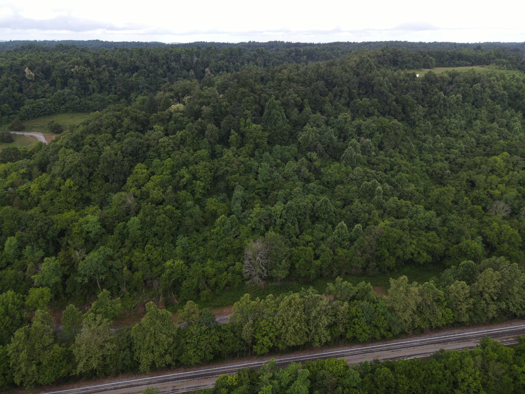 0 Rivendell Property Photo 6