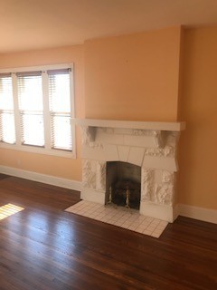 1117 Mckennie Ave Property Photo 6
