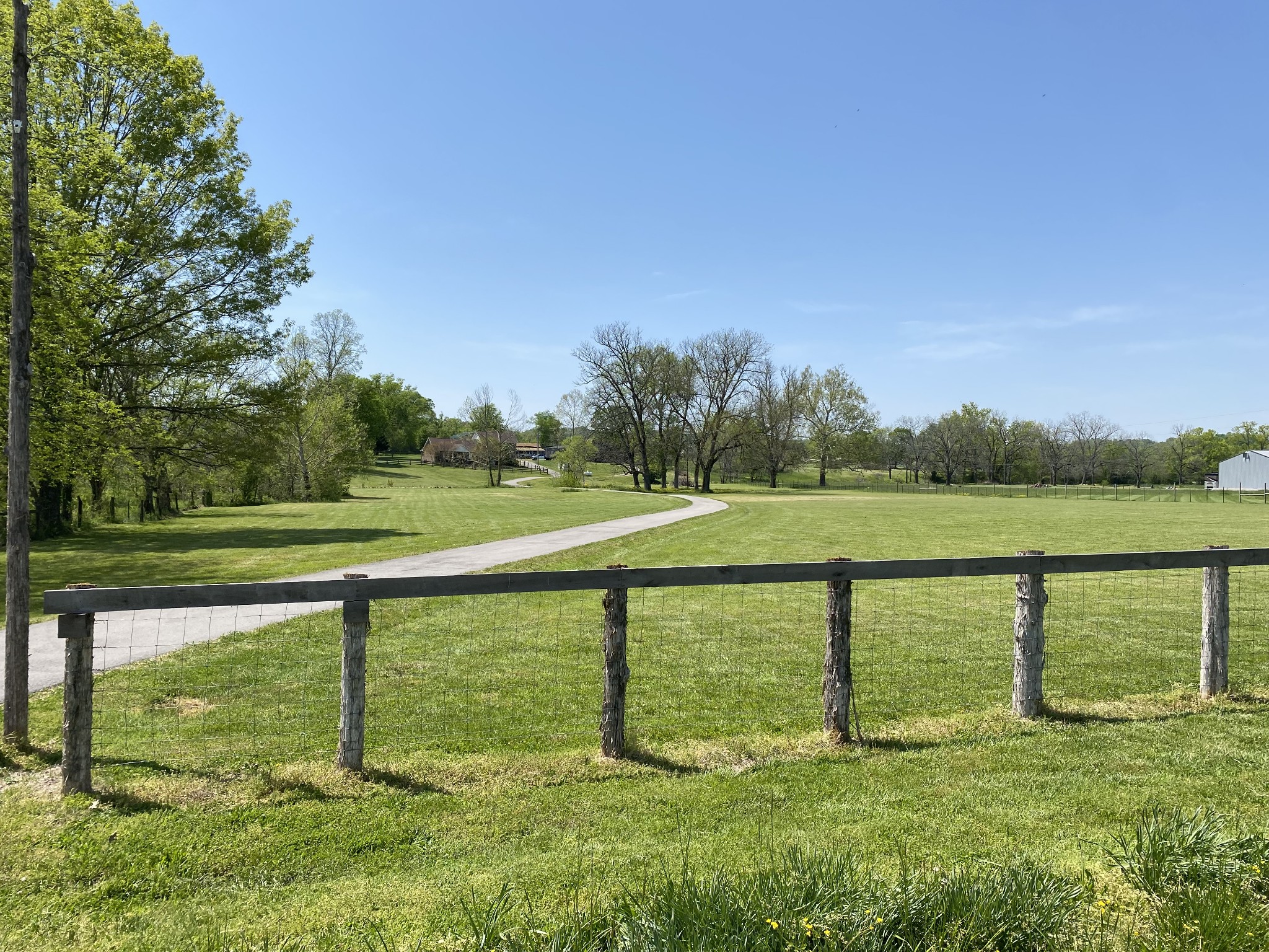 1131 Carters Creek Pike Property Photo 3