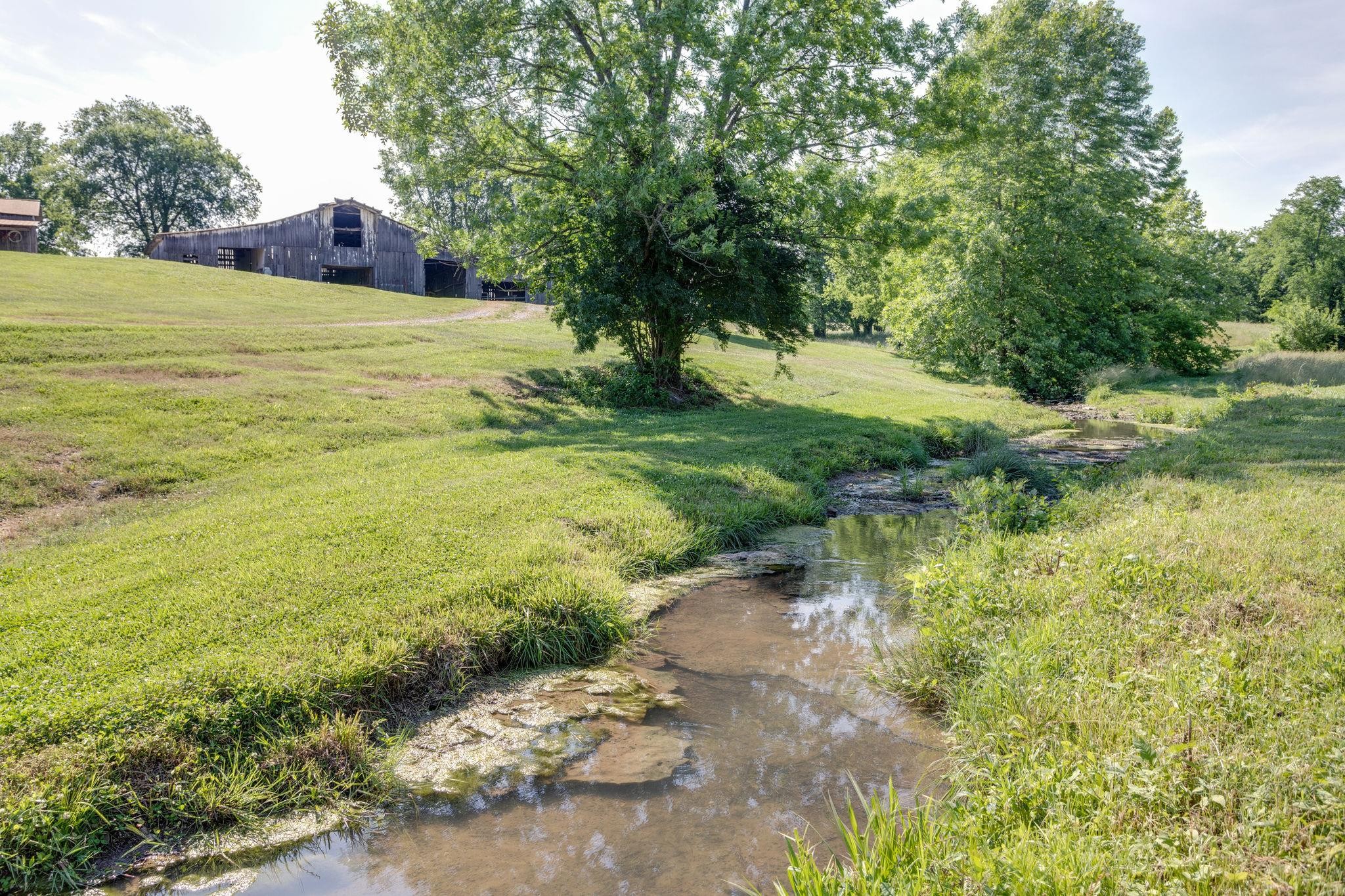 1131 Carters Creek Pike Property Photo 10