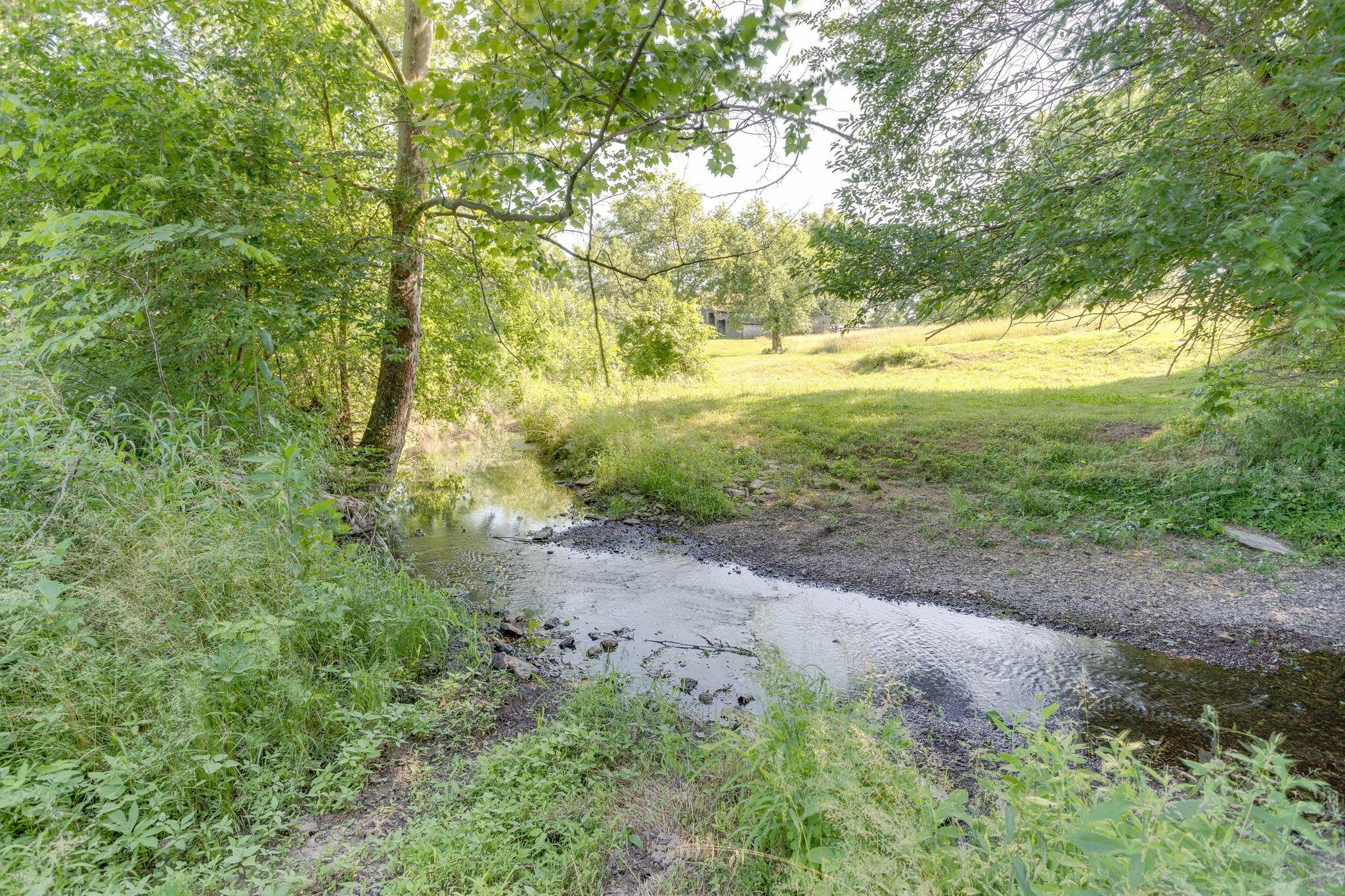 1131 Carters Creek Pike Property Photo 11