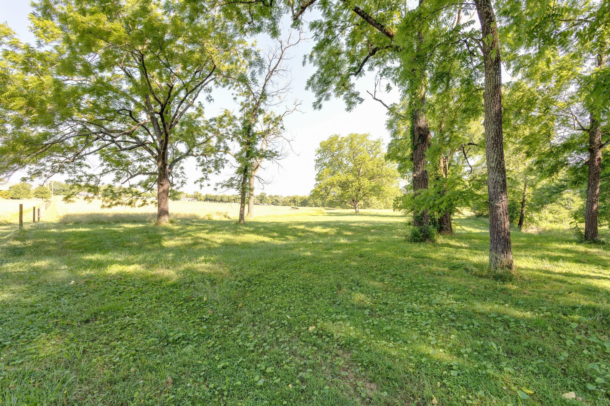1131 Carters Creek Pike Property Photo 12