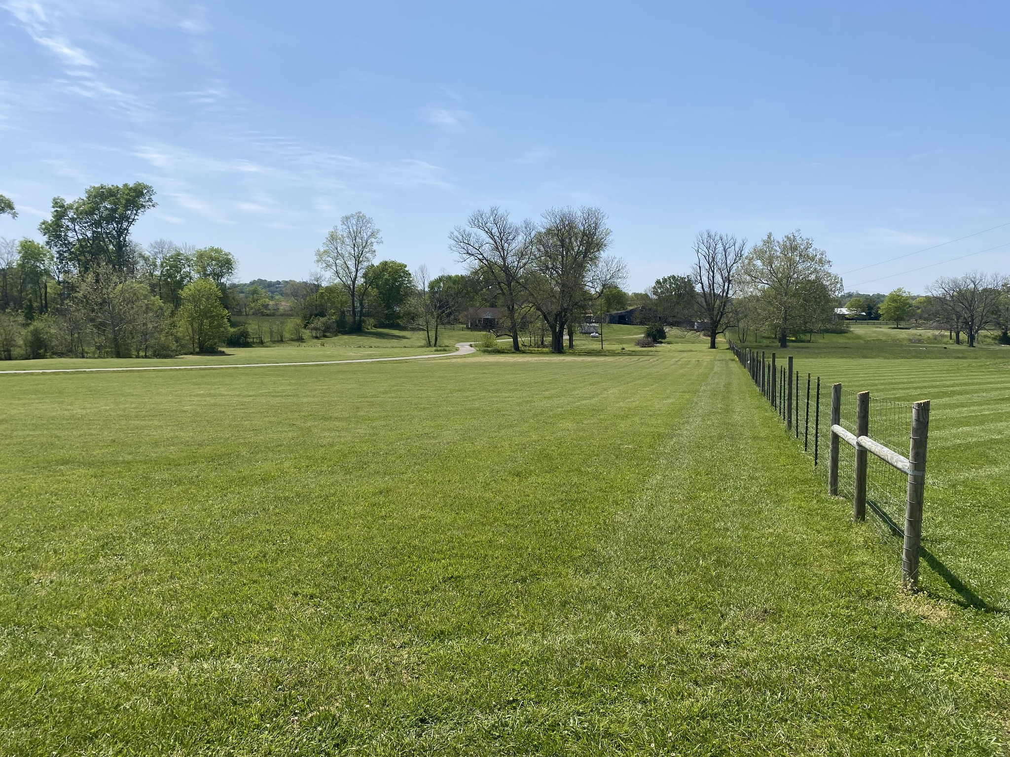 1131 Carters Creek Pike Property Photo 23