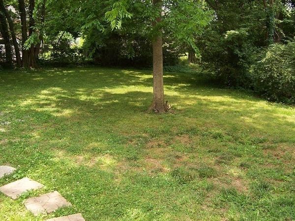 205a Chamberlain Dr Property Photo 8