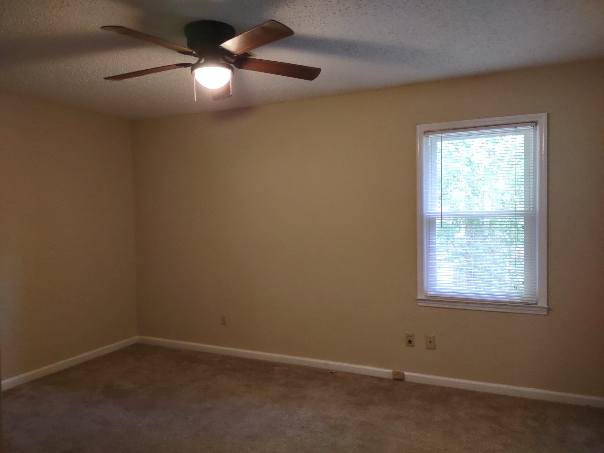 201 Blue Lake Dr Property Photo 8