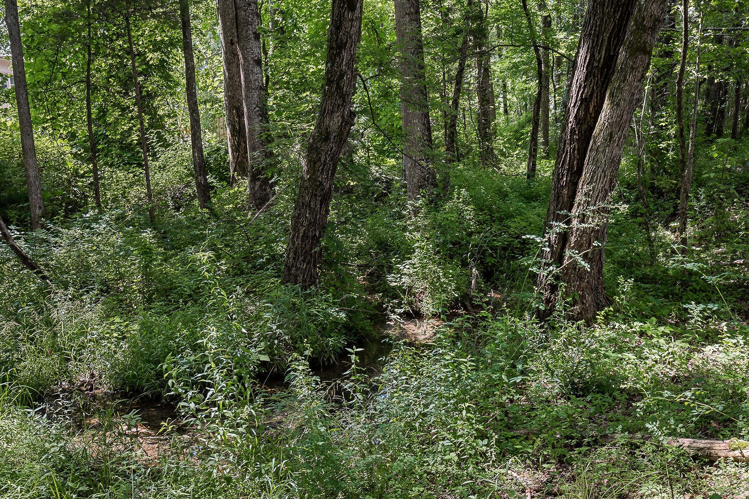 6760 Smithville Hwy Property Photo 53