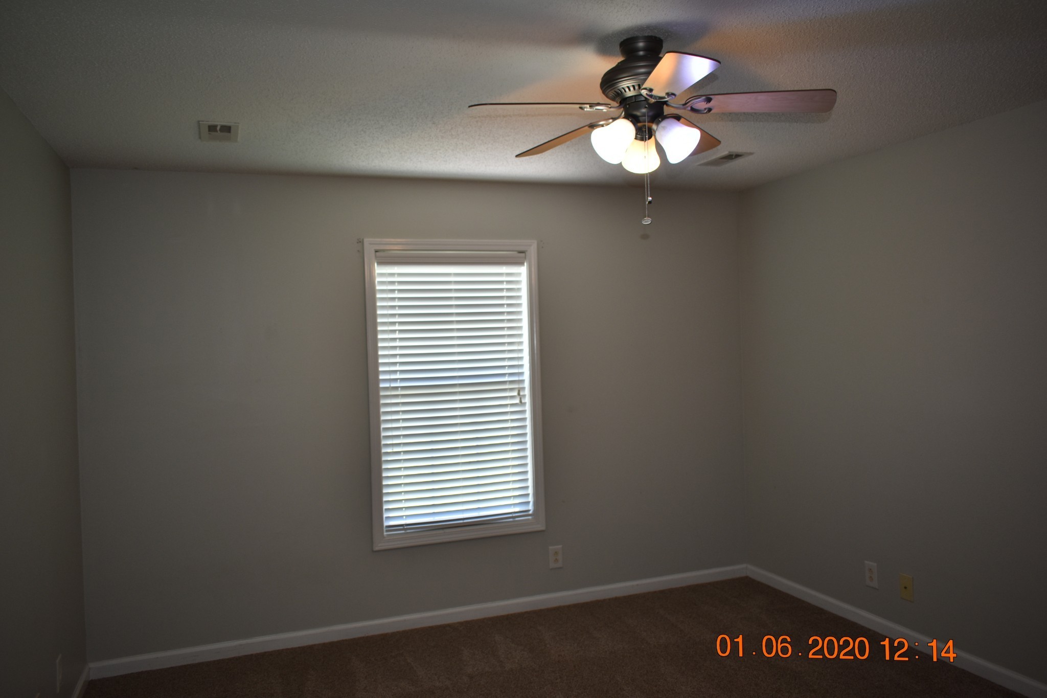 736 Shetland Dr Property Photo 10