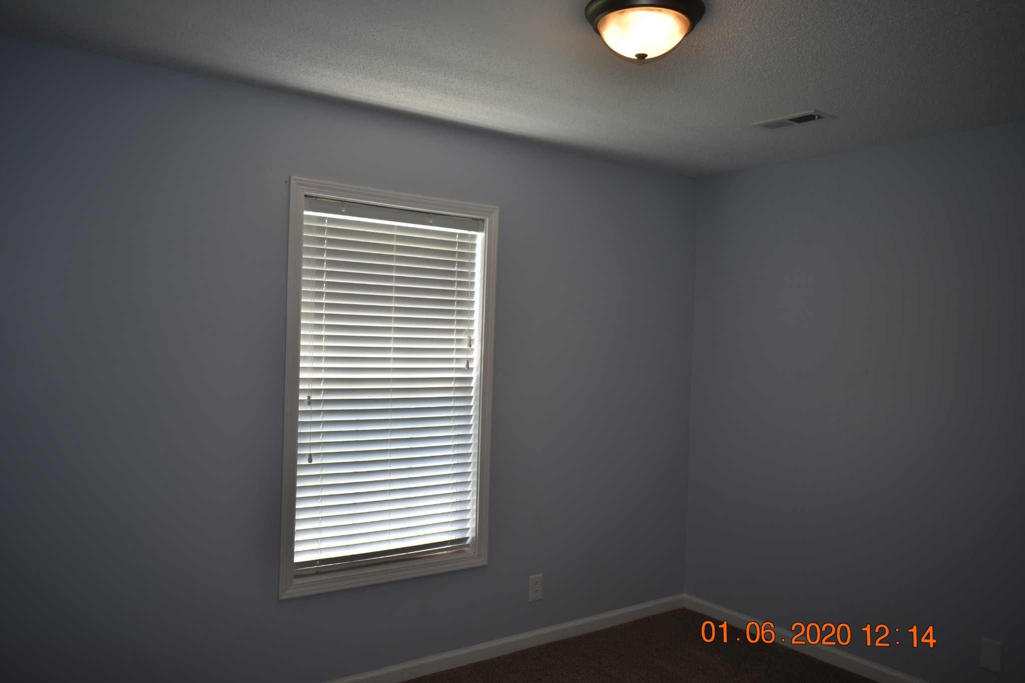 736 Shetland Dr Property Photo 12