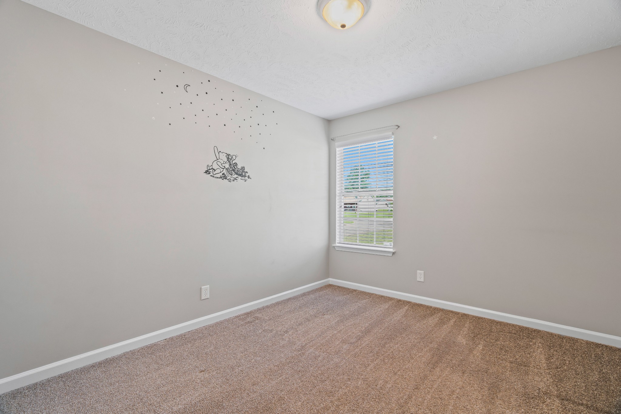 306 Clearlake Dr Property Photo 49