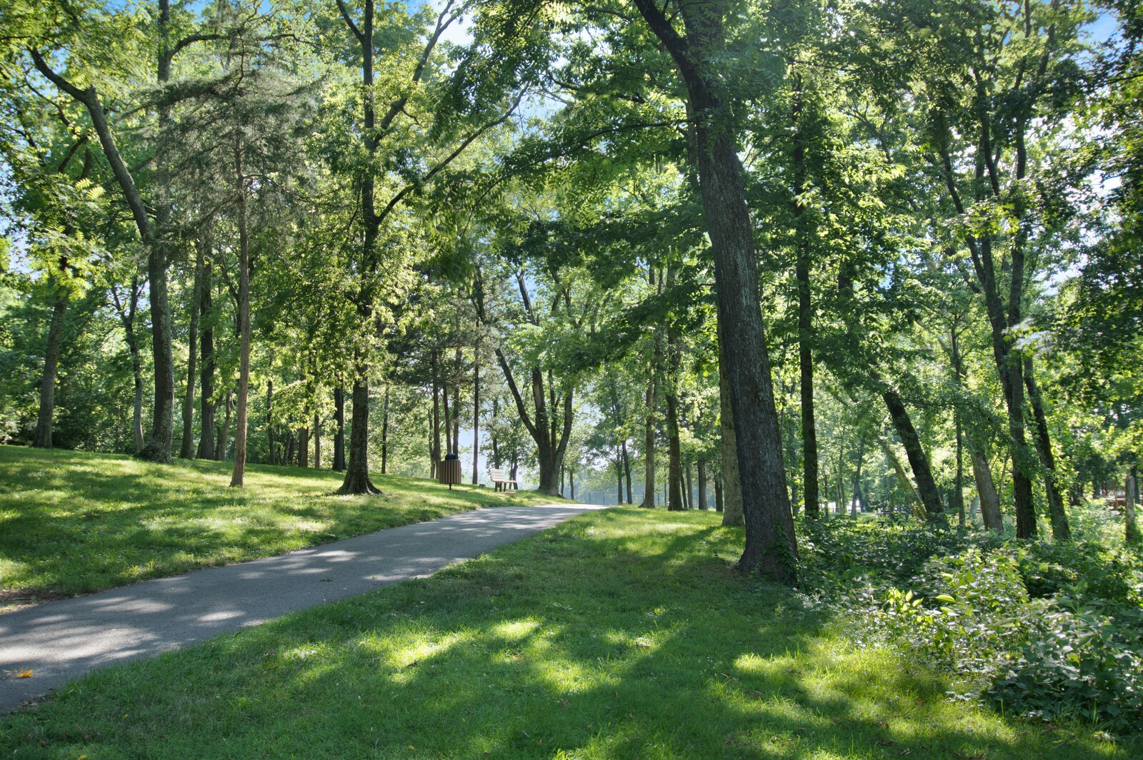 146 Ambassador Private Cir Property Photo 48