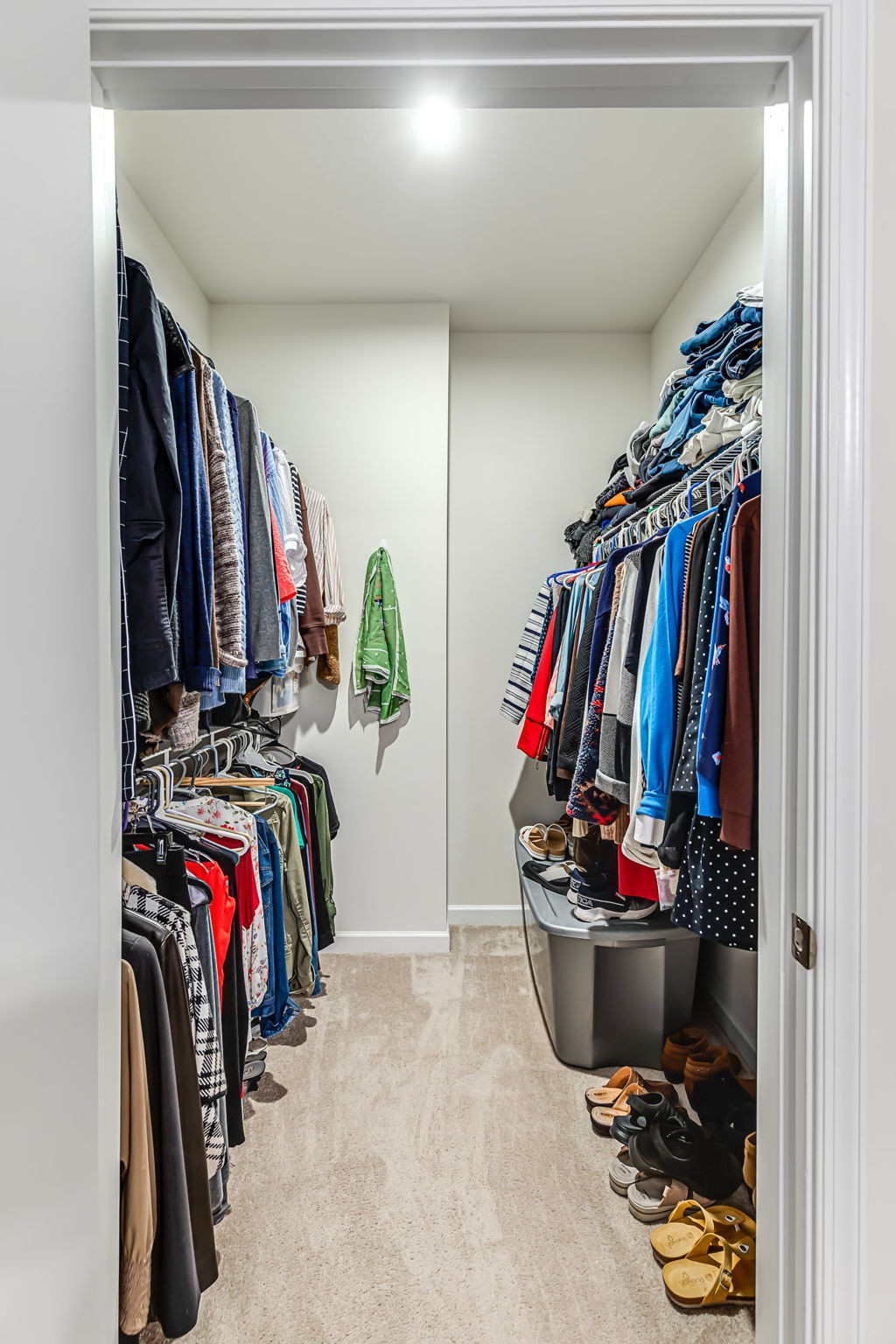 2932 Bluestem Ln Property Photo 18