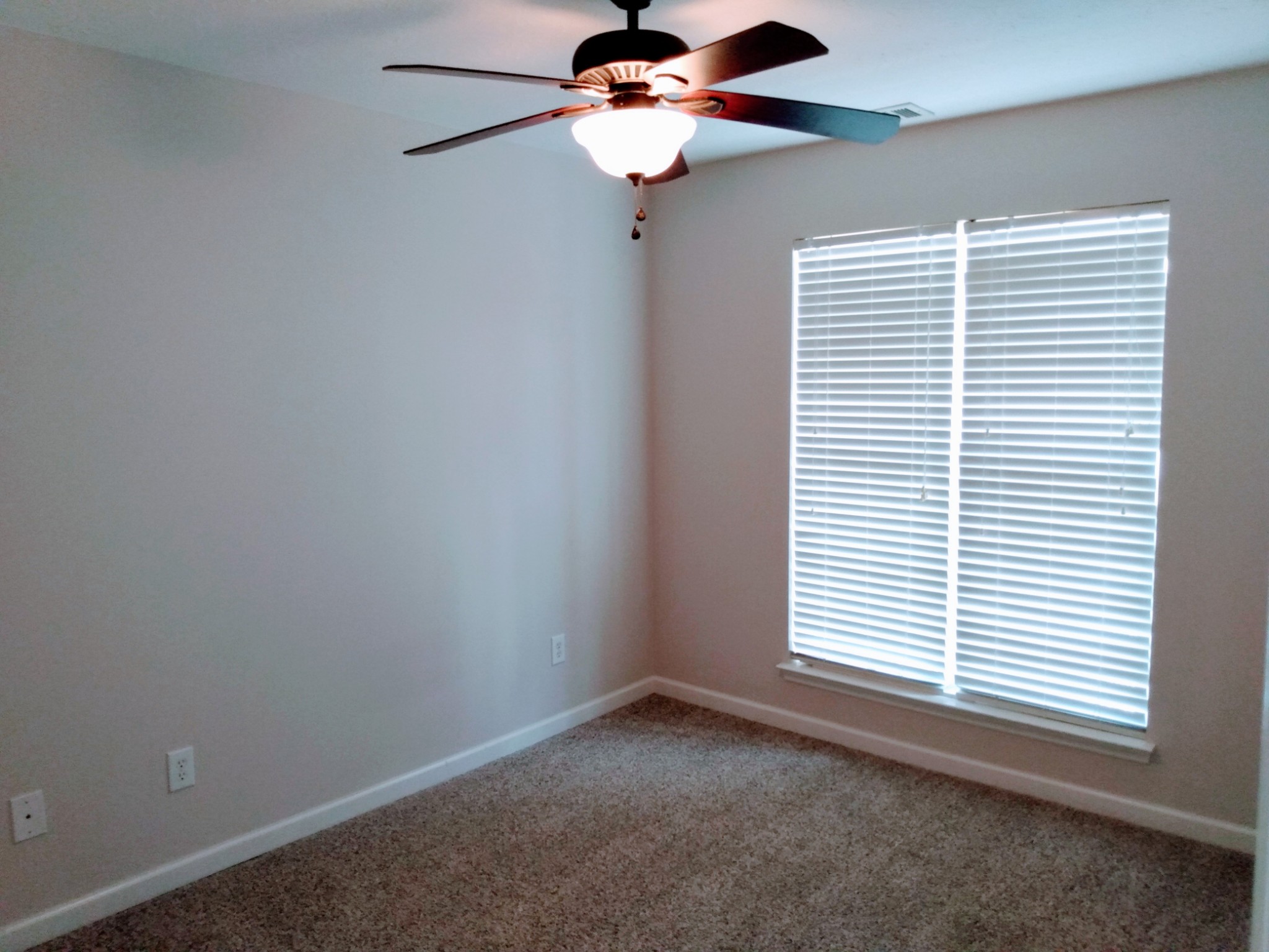 546 Albion Cir Property Photo 9