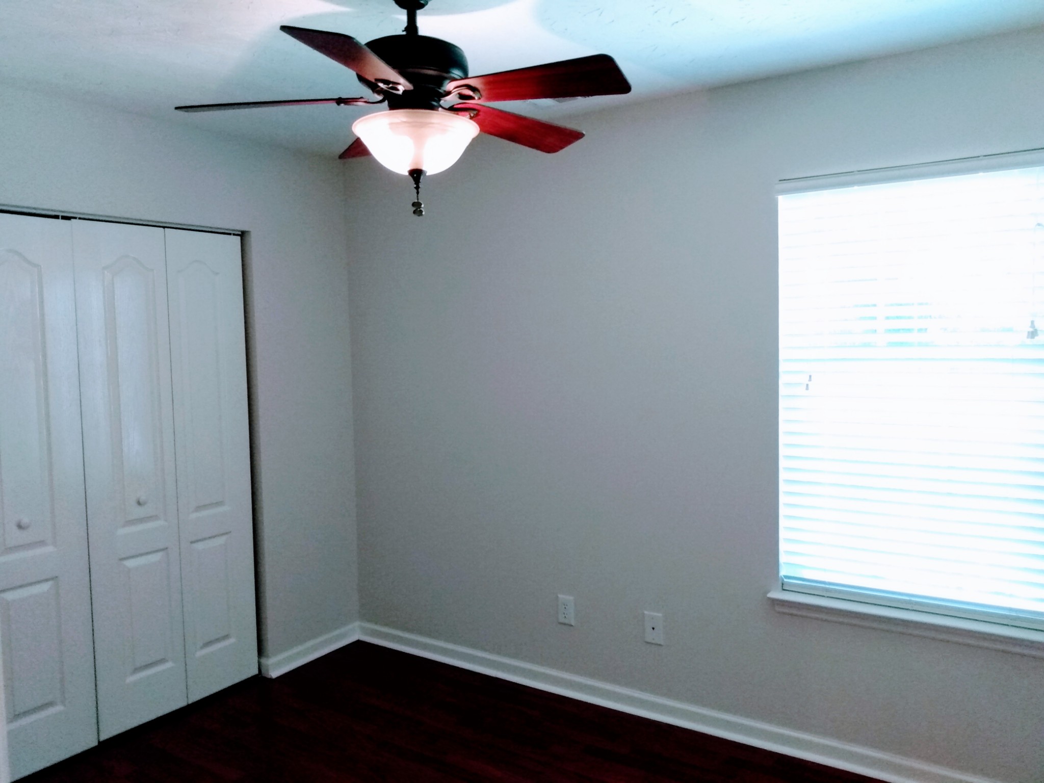 546 Albion Cir Property Photo 15