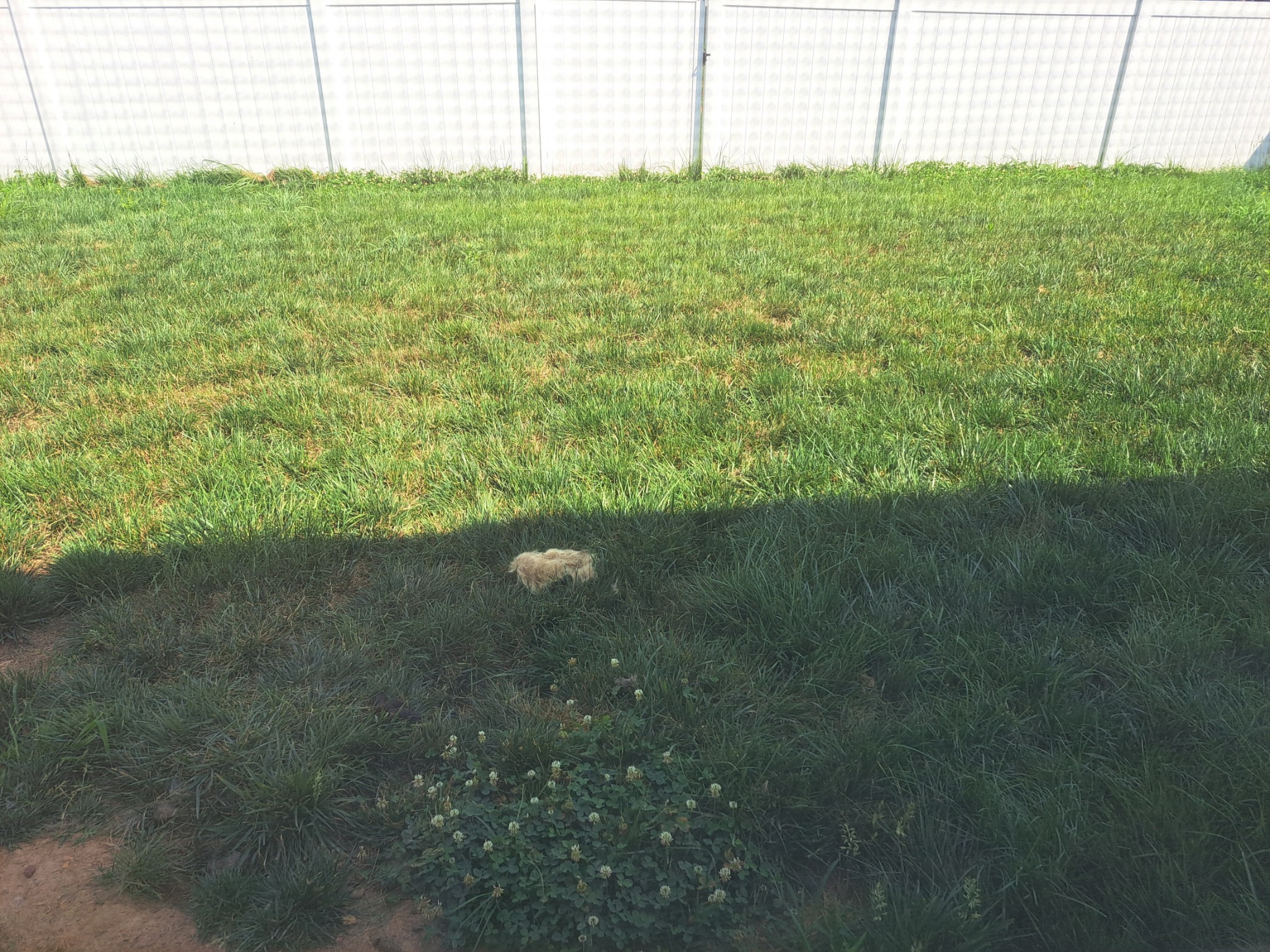 4050 Beach Way Property Photo 18