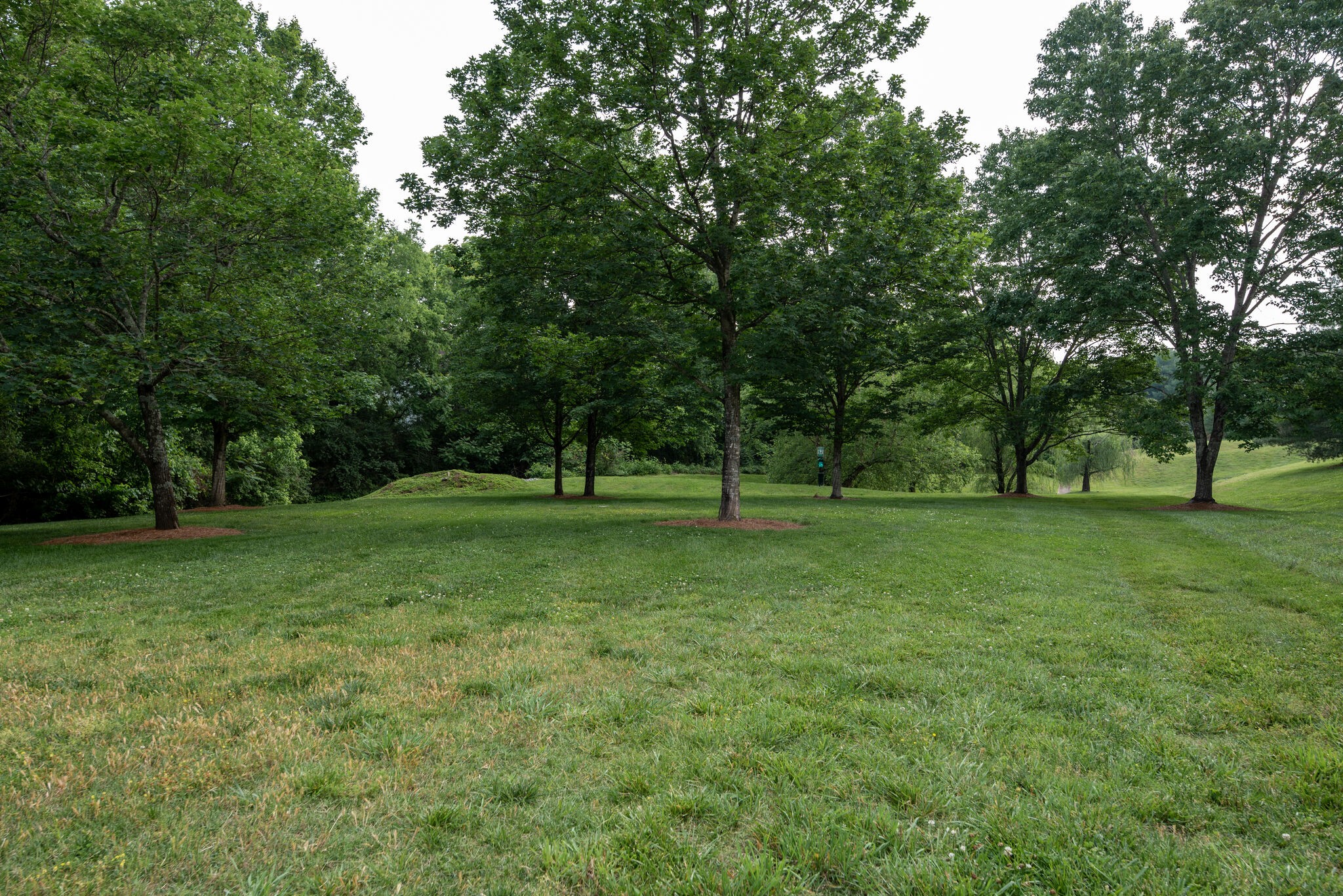 641 Old Hickory Blvd Property Photo 42