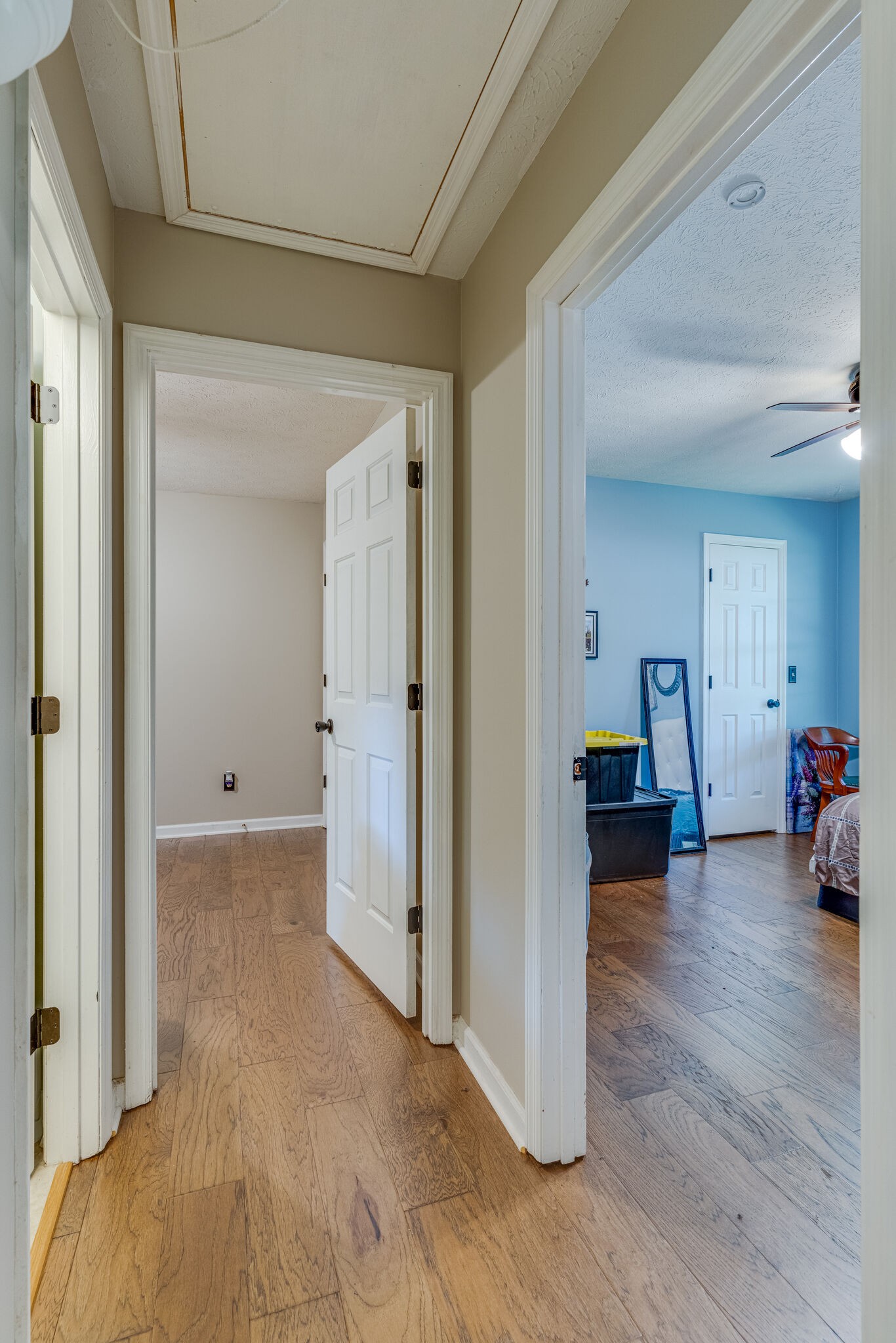 111 Sunnyhill Trl Property Photo 16