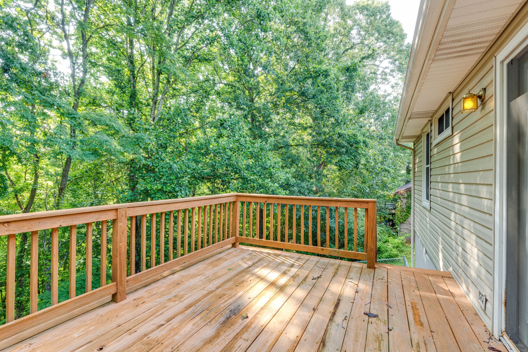 111 Sunnyhill Trl Property Photo 22