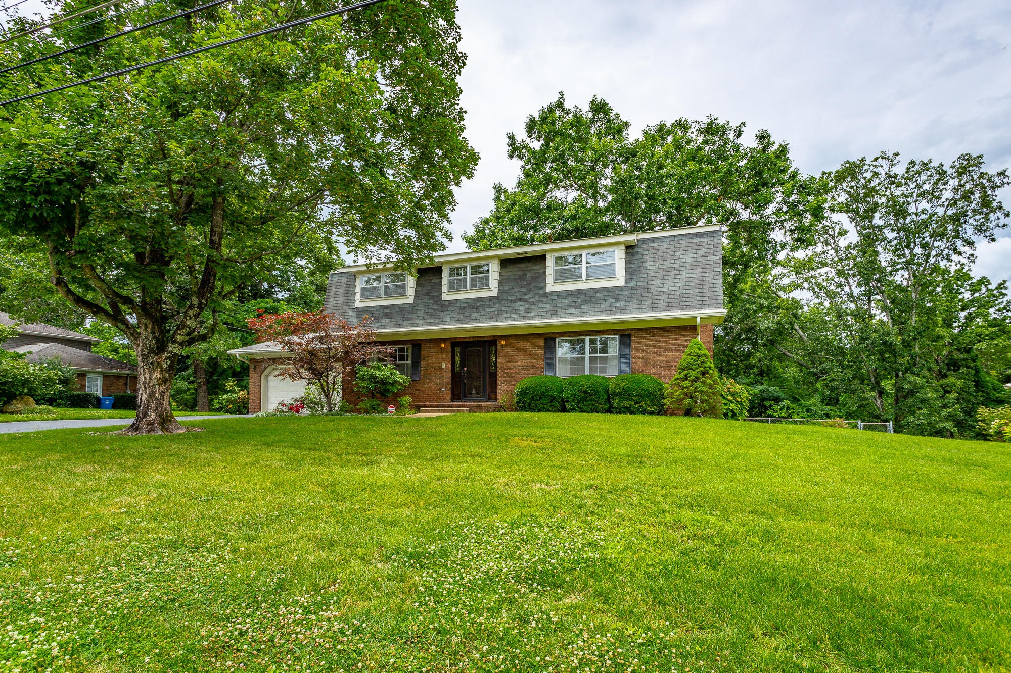 613 Timber Ridge Dr Property Photo 2