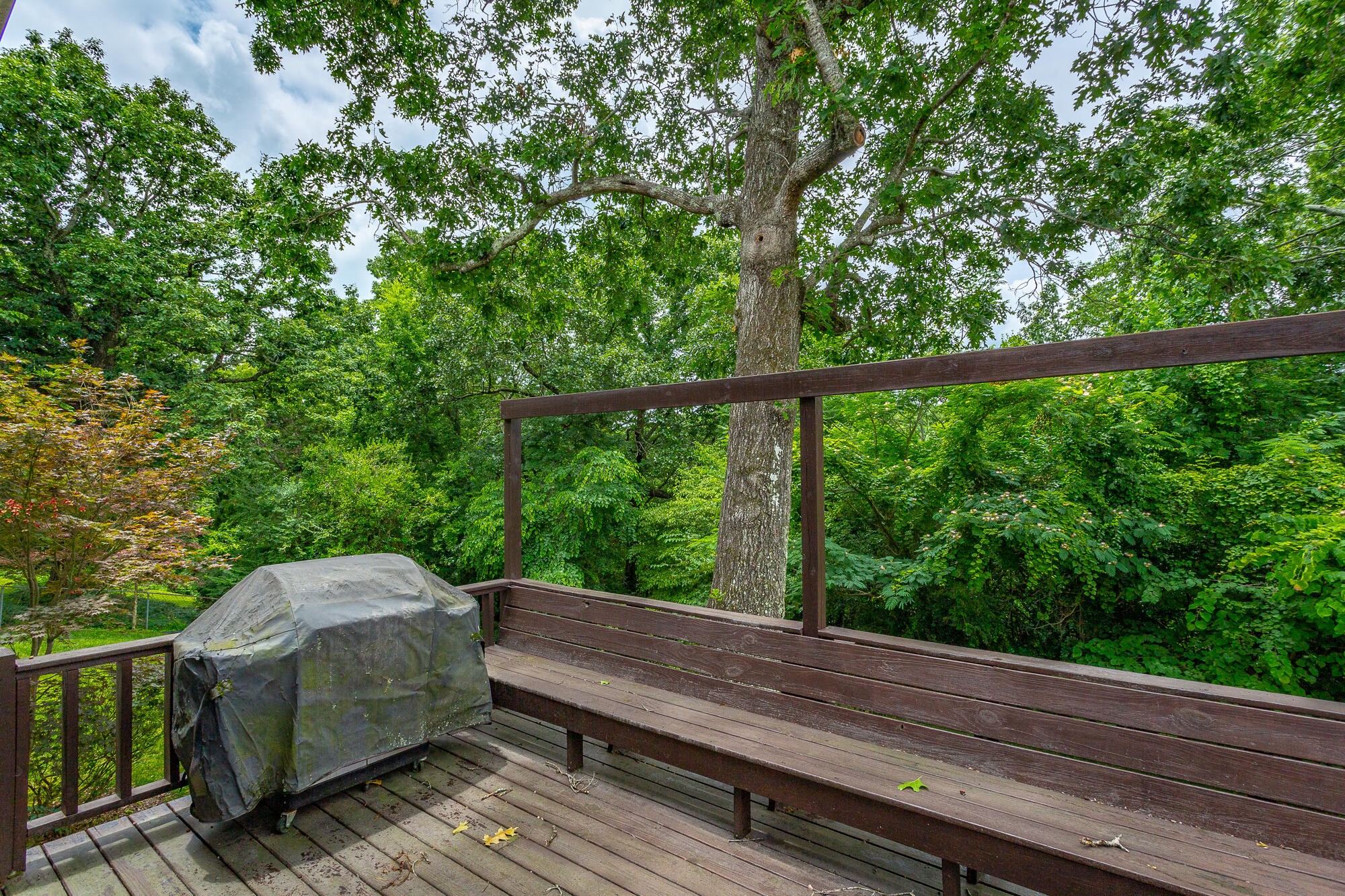 613 Timber Ridge Dr Property Photo 43