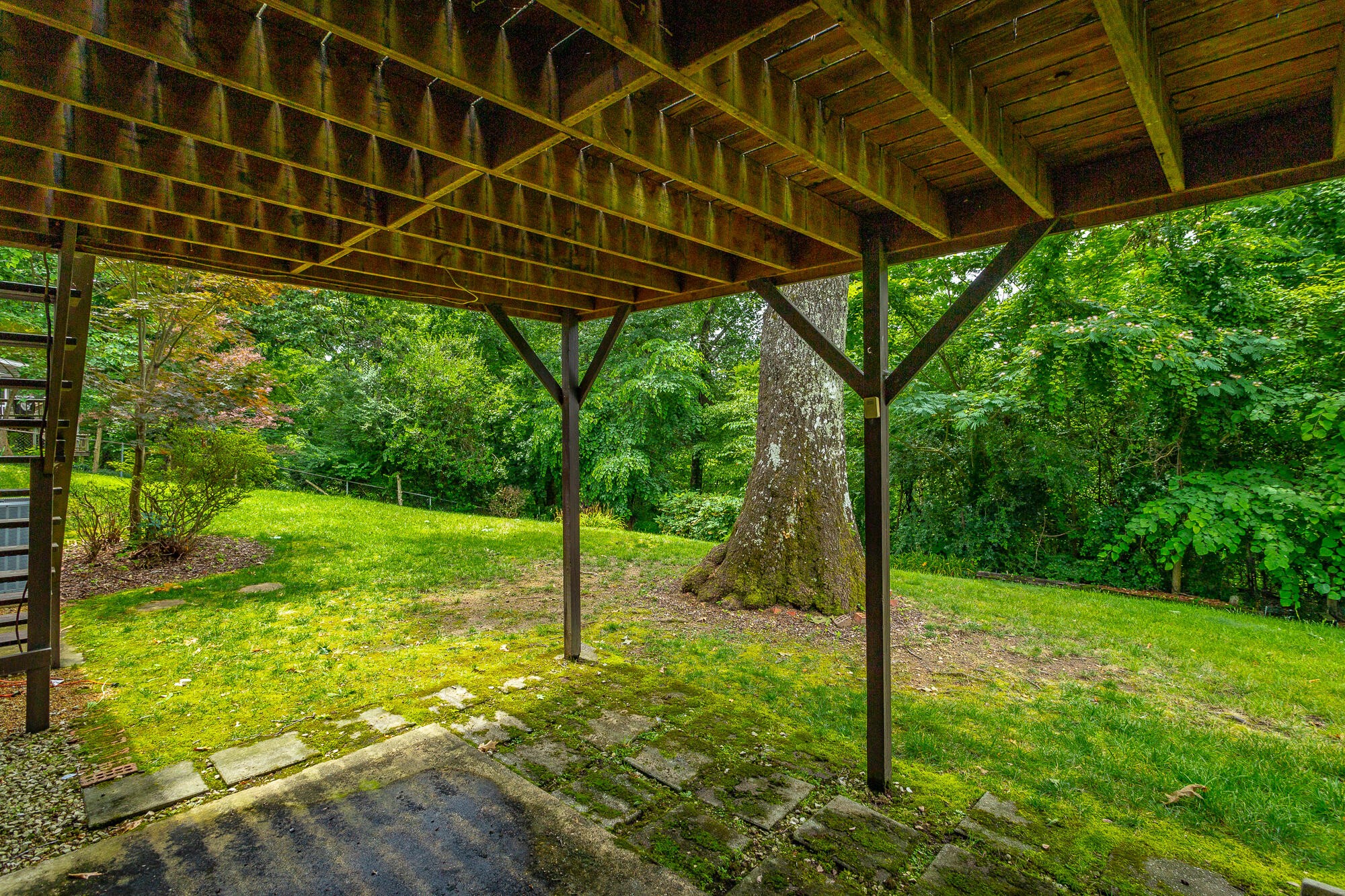 613 Timber Ridge Dr Property Photo 44
