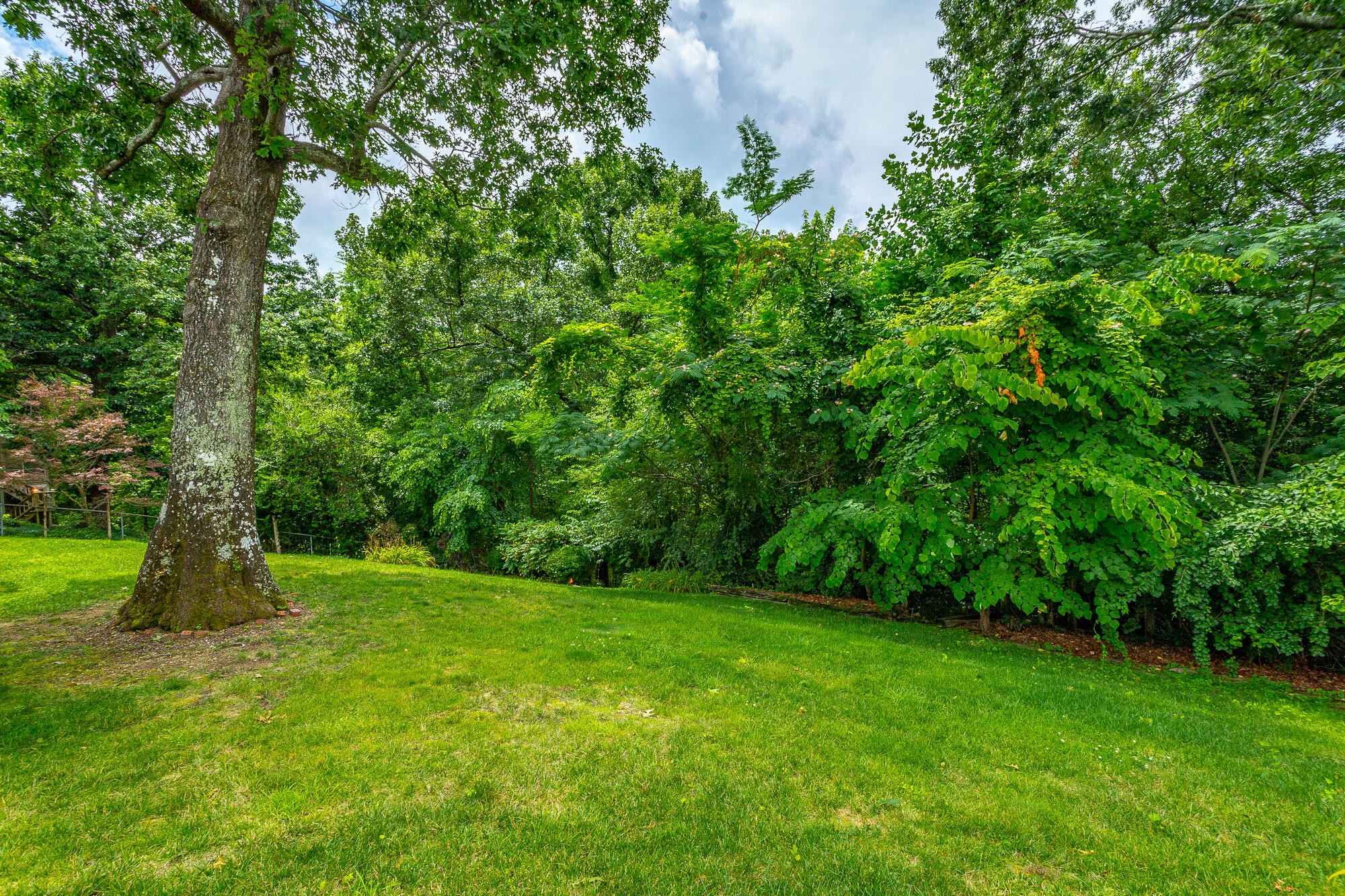 613 Timber Ridge Dr Property Photo 45
