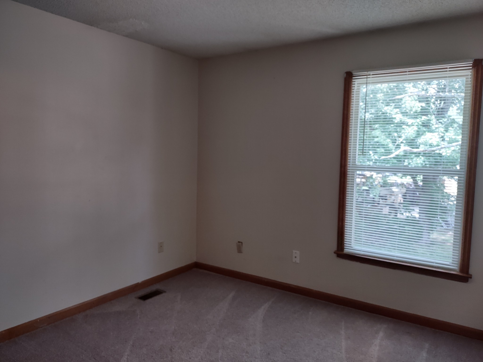 409 E Grundy St Property Photo 6