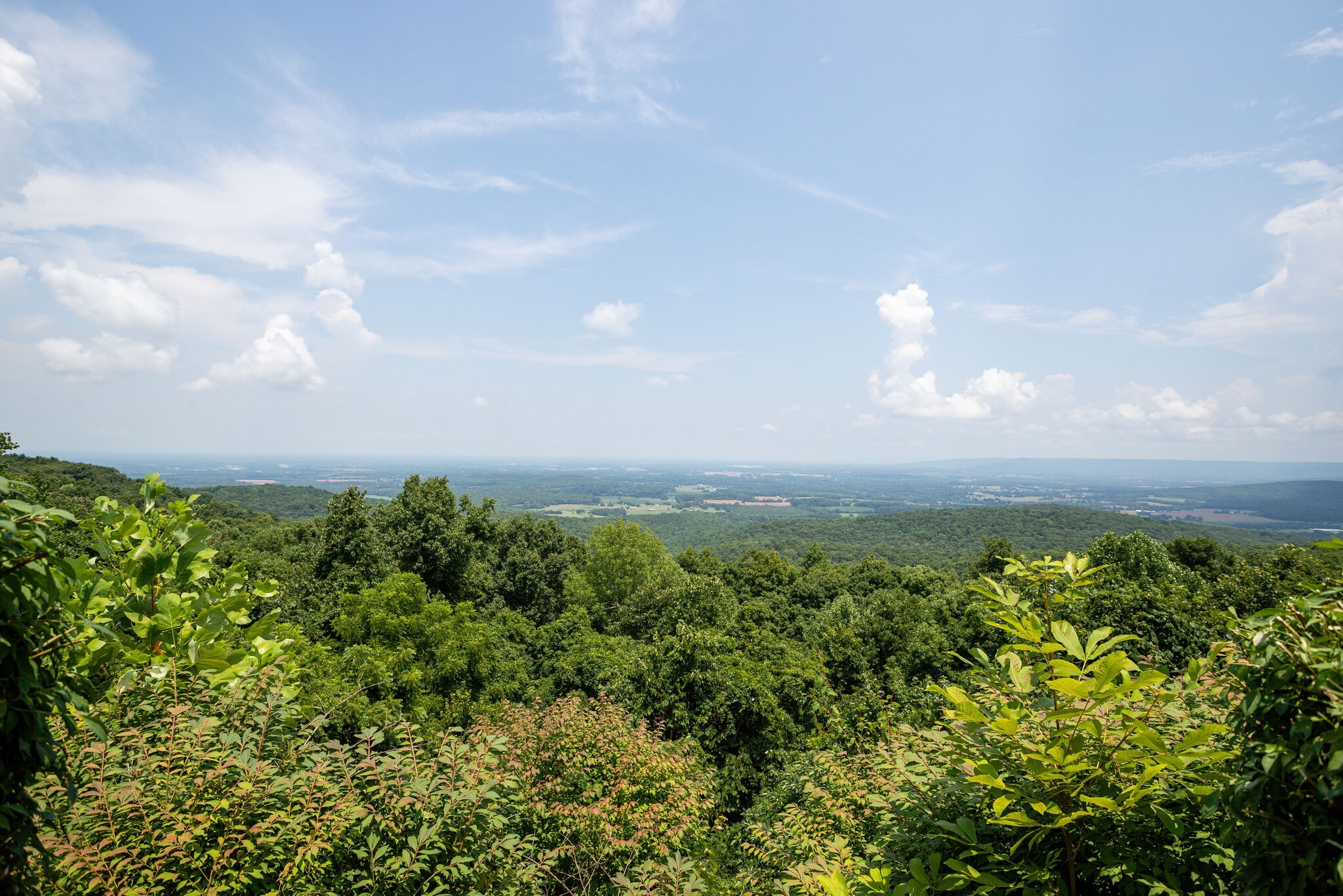 7425 Rowe Gap Rd Property Photo 31