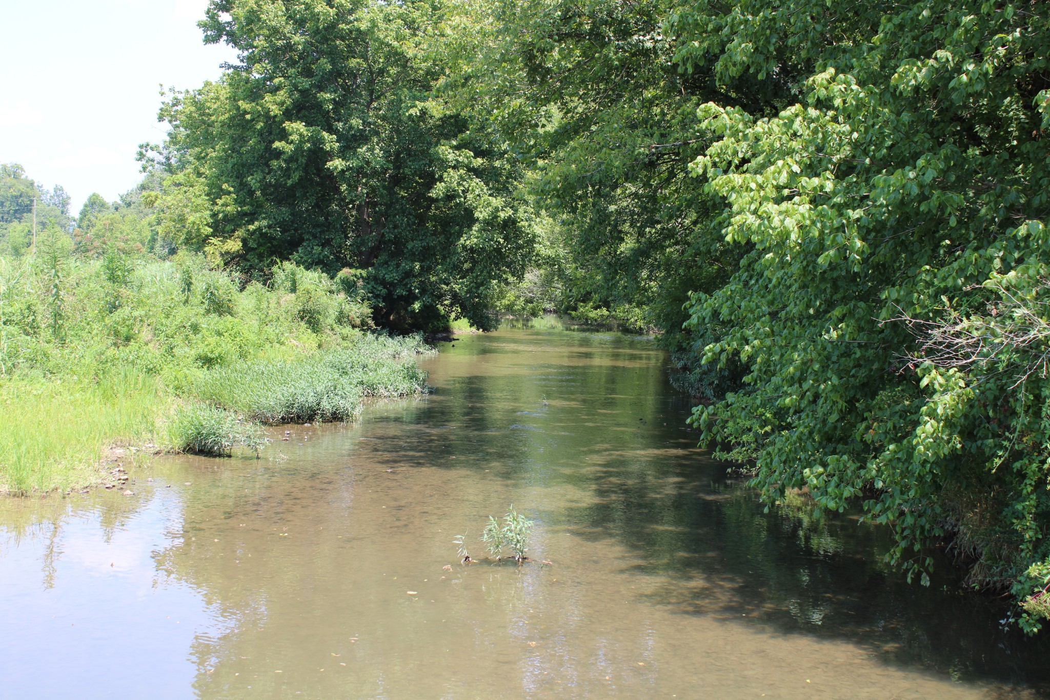0 Shoal Creek Rd Property Photo