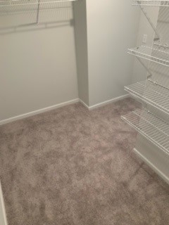 4511 Jackie Retreat Drive Property Photo 11