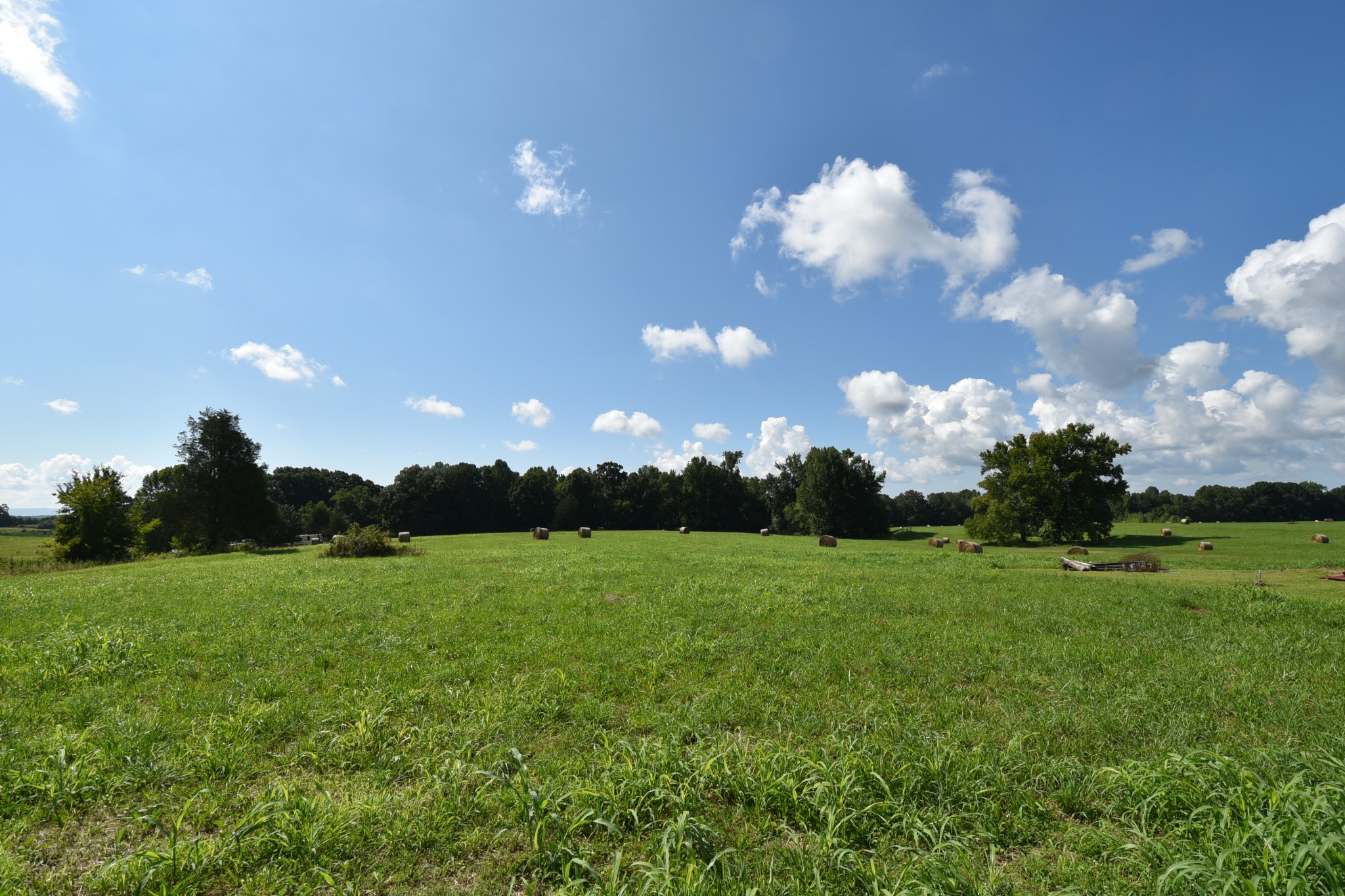 0 Old Quick Rd Property Photo 2