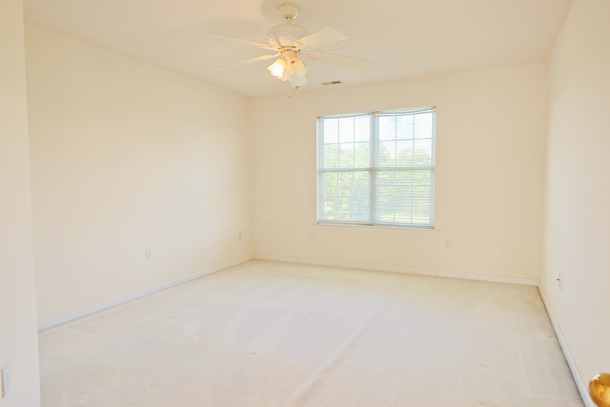 10674 Wall Triana Hwy Property Photo 42